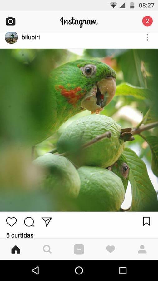 Casa Esmeralda Para Descanso Pirenópolis Exteriör bild